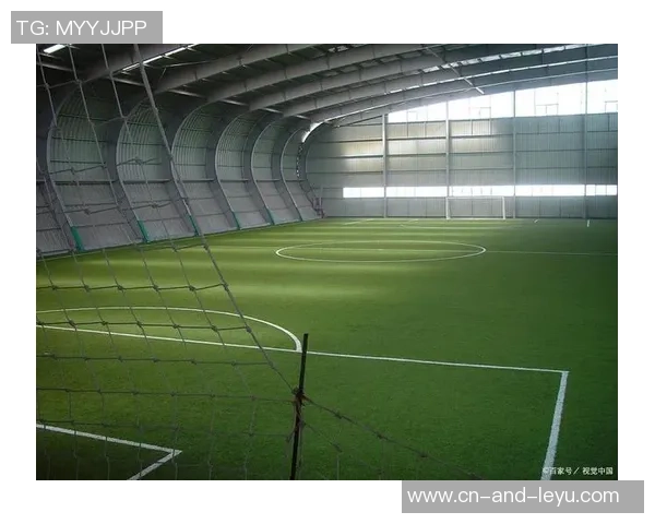 室内足球场草坪的选择与维护技巧助你提升比赛体验与场地质量